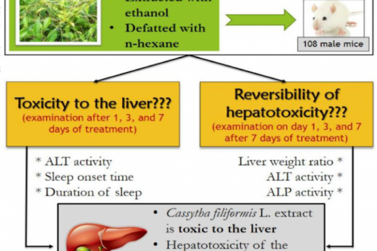 GRAPHICAL ABSTRACT