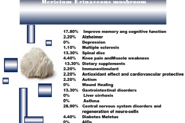 Graphical Abstract