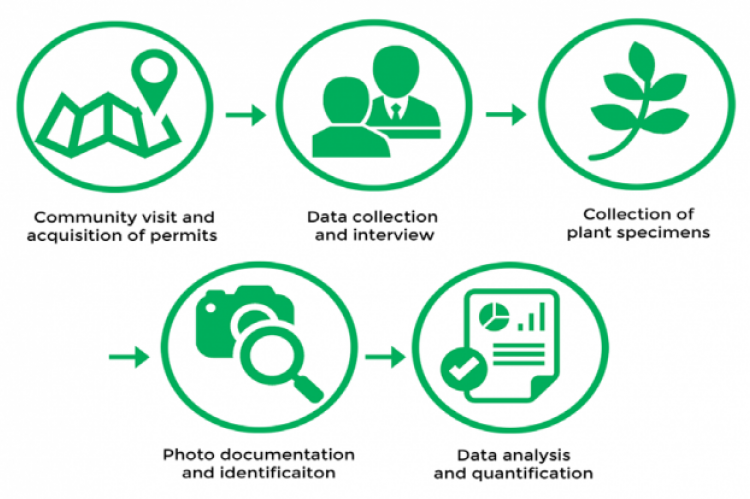 GRAPHICAL ABSTRACT