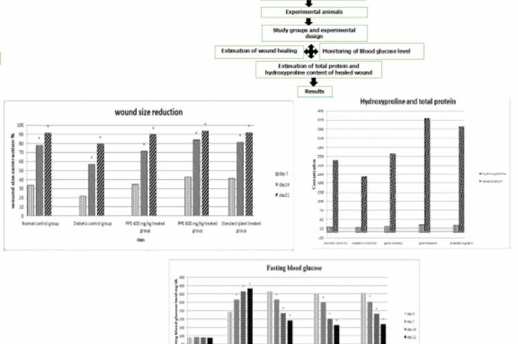 GRAPHICAL ABSTRACT