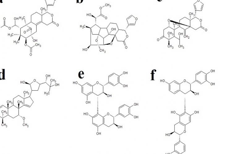 Chemical structures of selected molecules identified K. senegalensis extracts: (a) a characteristic limonoid structure (2-hydroxyseneganolide A is depicted), (b) a characteristic khayanolide structure (1-O-acetylkhayanolide B is depicted), (c) 6-hydroxy-methyl angolensate, (d) a characteristic senegalene triterpenoid structure (senegalene C is depicted), (e) proanthocyanidin B3, (f ) fisetinidol-(4α, 6)-catechin.