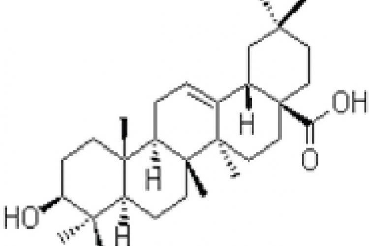 Chemical structure of oleanolic acid