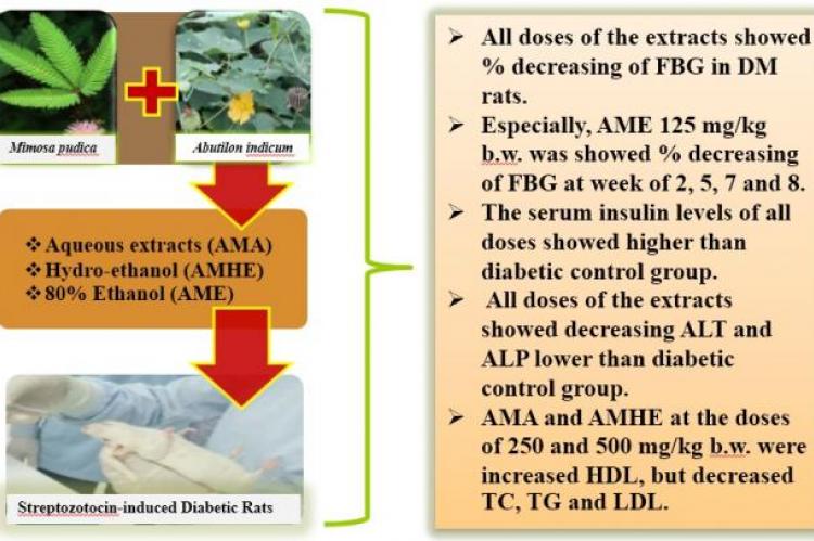 GRAPHICAL ABSTRACT