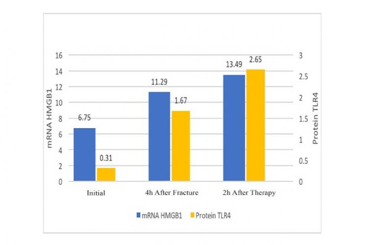 An expression of HMGB1 mRNA and TLR4 protein levels in both control groups