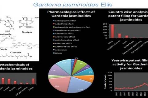 Pharmacognosy Journal | Journal of Pharmacognosy and Phytochemistry pharmacogn j