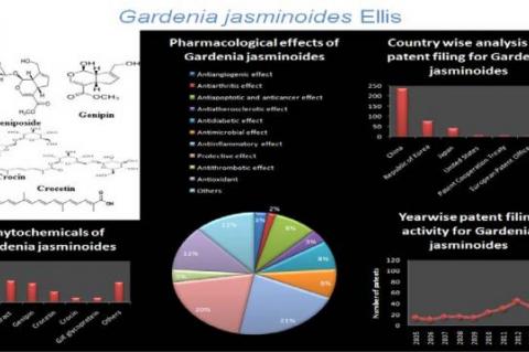 pharmacogn j