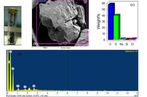 Represents elemental analysis in C. scariosus R. Br