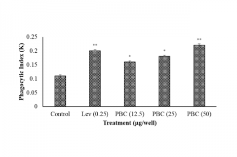 Phagocytic index was calculated in murine macrophage induced by different concentration of PBC PBC (12.5, 25 and 50 μg/well)