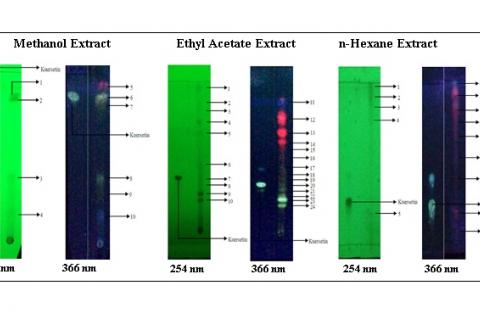 Chromatogram quercetin and Garciniakydia Roxb leaves extract.