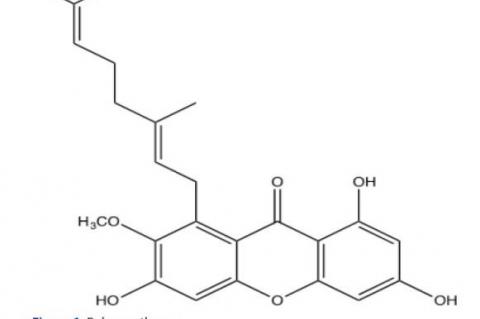 Rubraxanthone