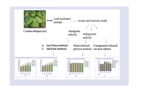 GRAPHICAL ABSTRACT