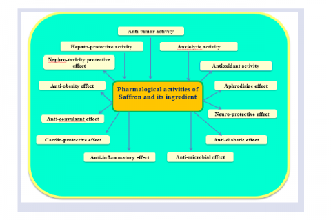 GRAPHICAL ABSTRACT