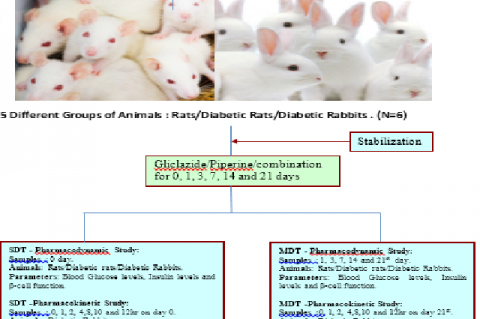 GRAPHICAL ABSTRACT