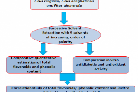 GRAPHICAL ABSTRACT