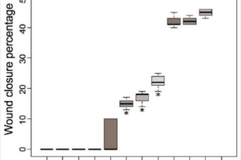 Evaluation of the average size of the dermal lesions induced in mice: GI: Control Group, GII: 0.1% O. vulgare cream, GIII: 0.5% O. vulgare cream, and GIV: 1% O. vulgare cream. (*): Group with a significant difference about the IG (Control Group); (#): Group with a significant difference about IVG (1% O. vulgare cream). ANOVA and Tukey's HSD test at p < 0.05.