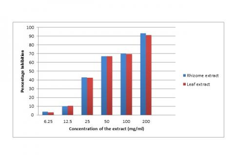 Graphical representation of percentage inhibition of both the extract of Curcuma longa 