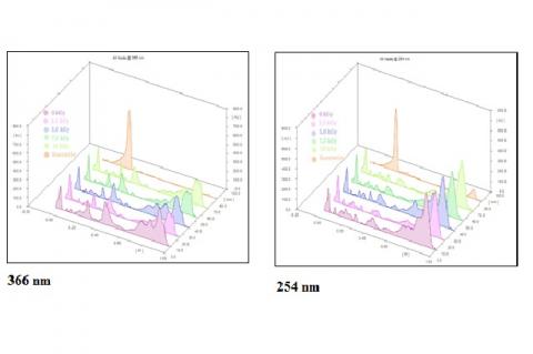 TLC dencytogram of the samples under 366 dan 254 nm.