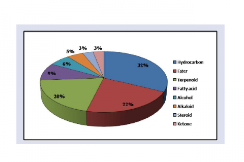 Major phytochemical groups present in the methanolic leaf extract of wild chicory.