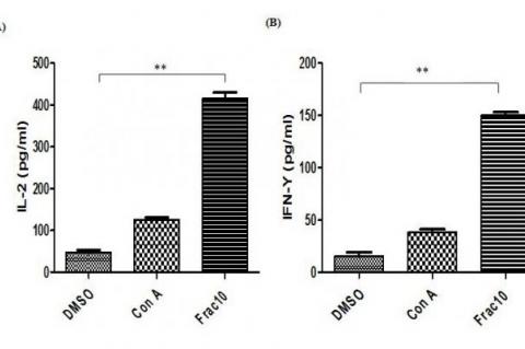 Cytokine induction was measured after 48h treatment of human PBMC