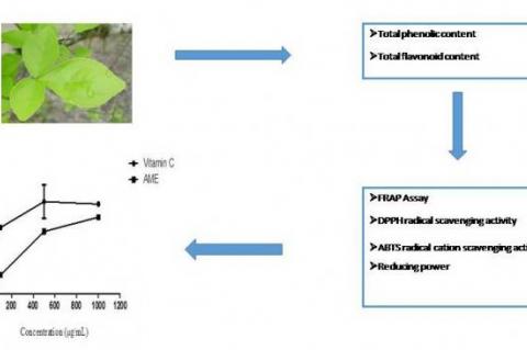 Pictorial Abstract