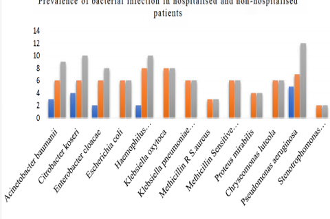 Prevalence of bacterial infections in hospitalised and non-hospitalised patients.