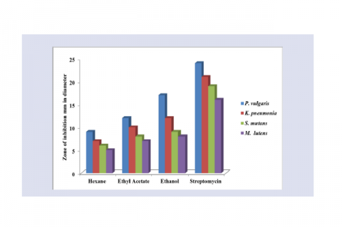 Antibacterial activity of different solvent extracts of leaves of H. hookerianum against human pathogens