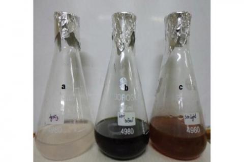 Synthesis of SNP