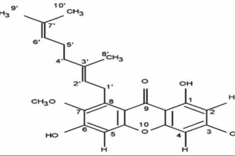 Structure of Rubraxanthone.2