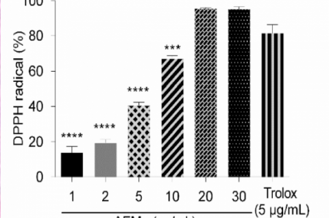 Antioxidant activity of the aqueous extract of M. guianensis (AEMg) and Trolox (5 μg/mL)