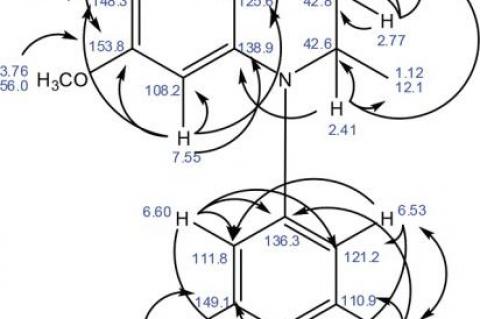 Selected HMBC correlation of Compund 1.