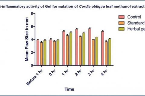 Anti-inflammatory activity study of Cordia obliqua topical gel.