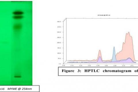 HPTLC Chromatogram of Plant Extracts showing different bands