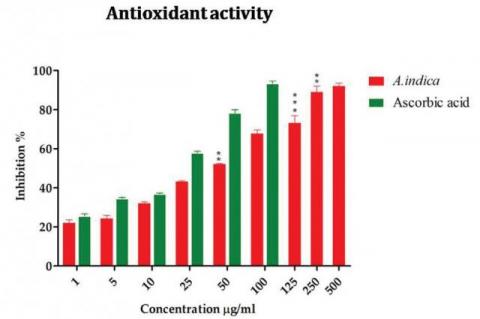 Antioxidant potential of A. bracteolata