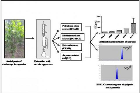 Graphical Abstract