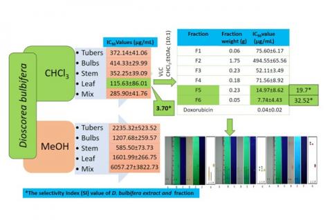 Graphical Abstract