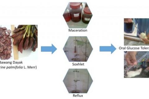 Graphical Abstract