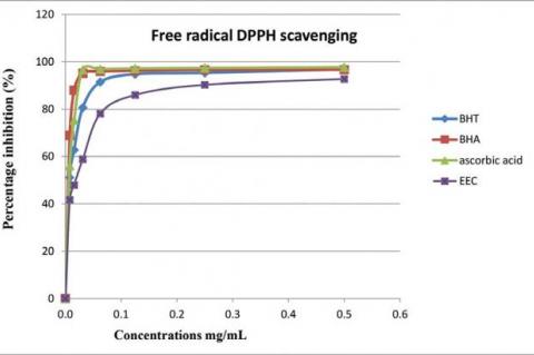 Anti-radical activity of the ethanol extract of Calendula suffruticosa