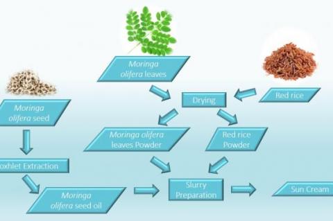 Graphical Abstract