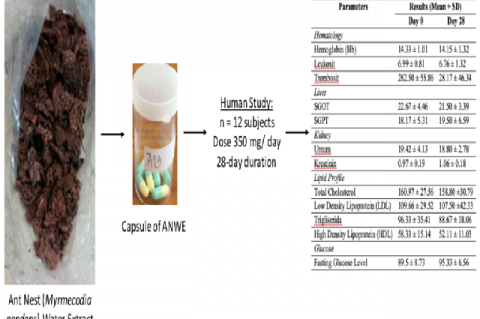 Graphical Abstract