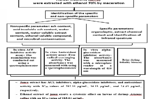 Graphical Abstract