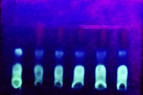 Flavonoid identification. The results are presented for (a) quercetin and the mangkokan leaf extracts using (b) 1-hexyl-3-methylimidazolium bromide, (c) 1-butyl-3-methylimidazolium hydrogen sulfate, (d) 1-butyl-3-methylimidazolium bromide, (e) 1-butyl-3-methylimidazolium chloride, and (f) 1-butyl-3- methylimidazolium tetrafluoroborate as ionic liquids