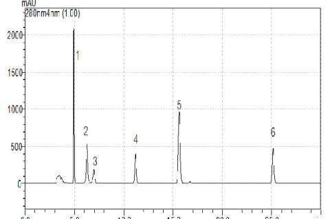 Showed chromatogram of standardized compounds (standard no.1= gallic acid, 2= catechin, 3= chlorogenic acid, 4= rutin, 5 = ferulic acid, 6= quercetin)