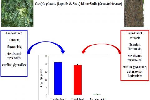 Graphical Abstract