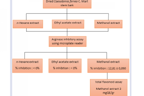 GRAPHICAL ABSTRACT