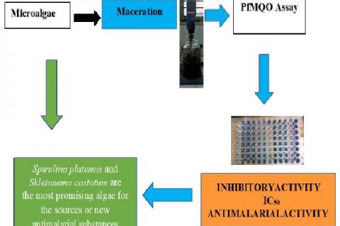 Graphical Abstract