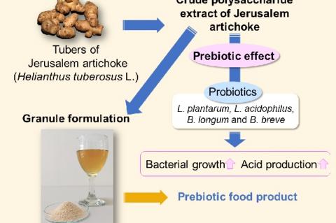 Graphical Abstract