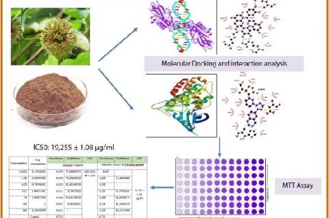 Graphical Abstract