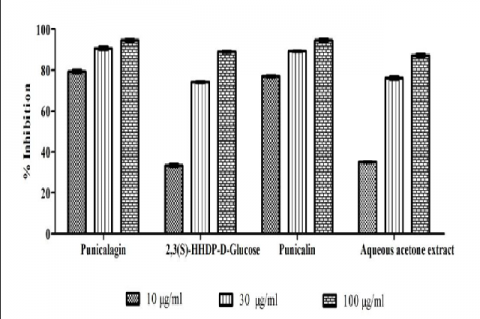 In vitro Thymidine phosphorylase inhibition activity of compounds and extract of fruit rind of P. granatum