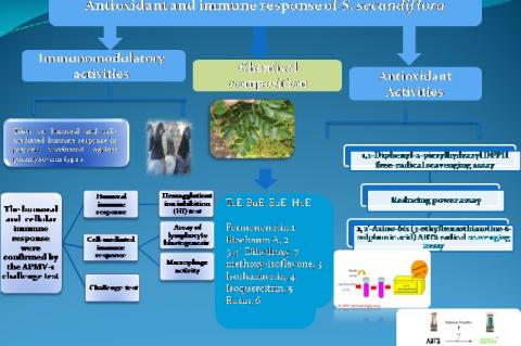 Graphical Abstract