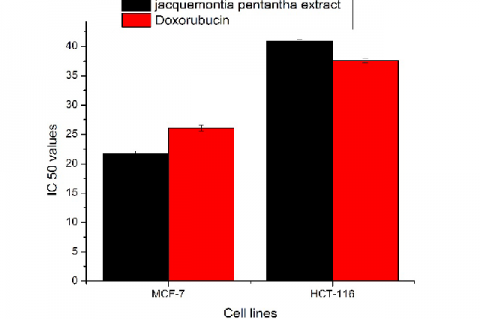 IC50 (the concentration required to kill 50% of the cell population) of Jacquemontia pentantha crude extract on cell lines of, breast carcinoma (MCF-7) and colon carcinoma (HCT-116) compared with reference drug Doxorubicin. Each result is a mean of 3 replicate samples